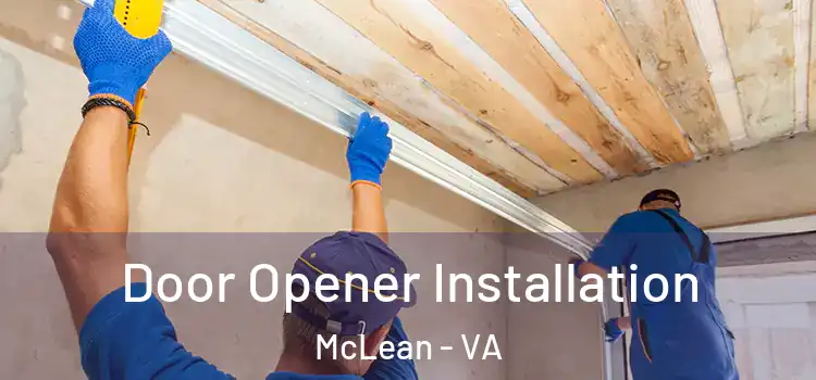  Door Opener Installation McLean - VA
