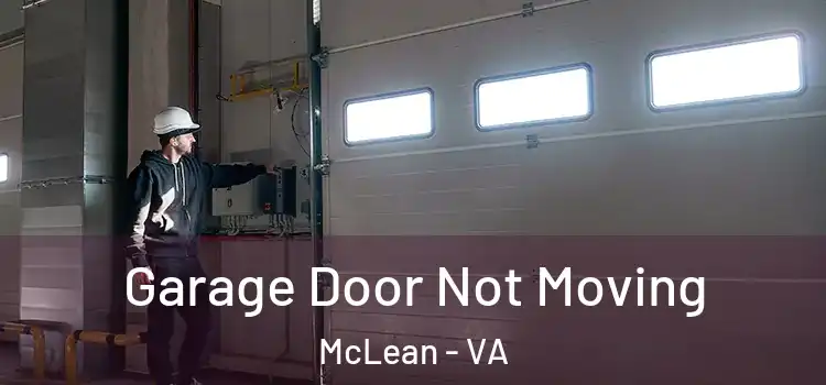  Garage Door Not Moving McLean - VA