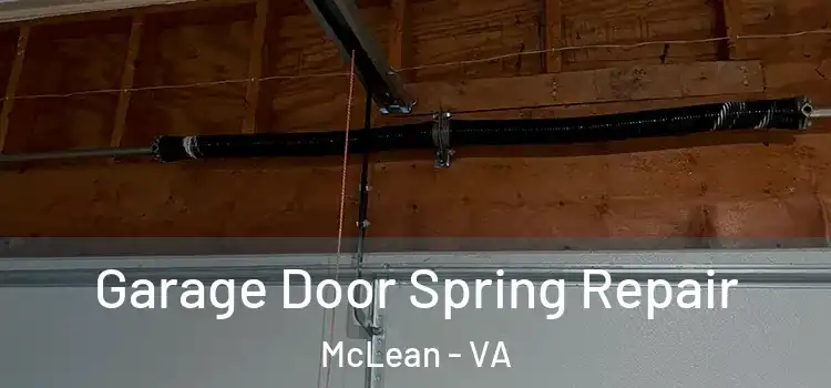  Garage Door Spring Repair McLean - VA