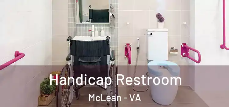  Handicap Restroom McLean - VA