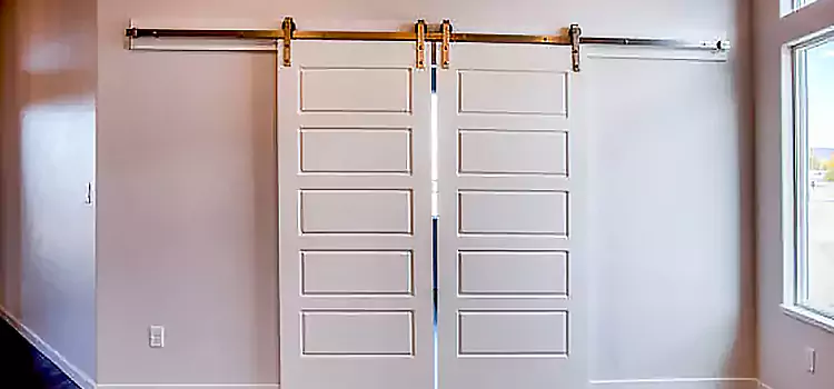 Glass Barn Door with Installation Hardware Kit McLean