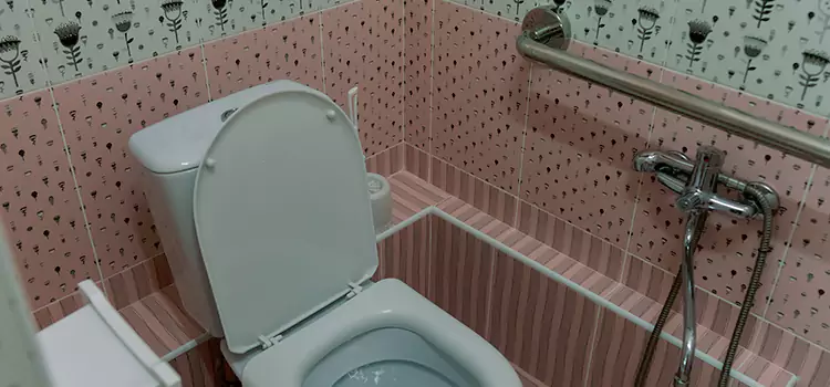 Meeting Diverse Needs With Accessible Restroom Solutions in McLean, VA
