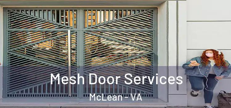  Mesh Door Services McLean - VA